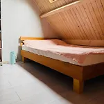 Pure Baltic Trzesacz- Kapitanskie 400 M - Dog Friendly * トシェンサチ